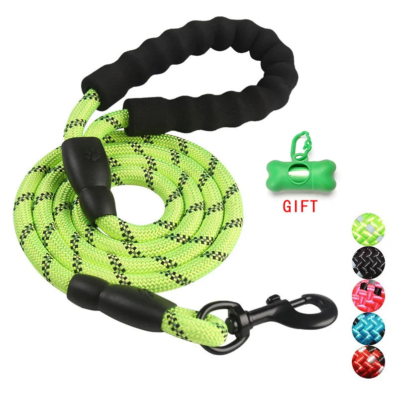 Pet Training Leash