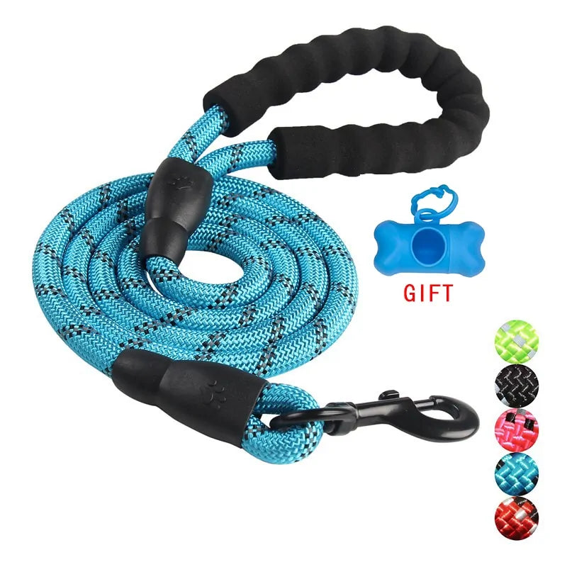 Pet Training Leash