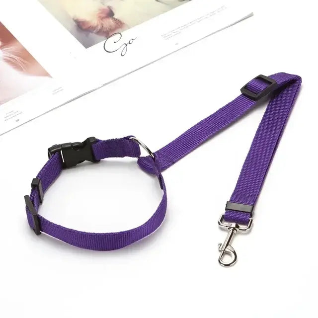 Pet Car Seat Belt