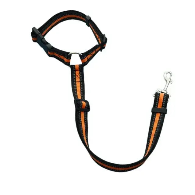 Pet Car Seat Belt