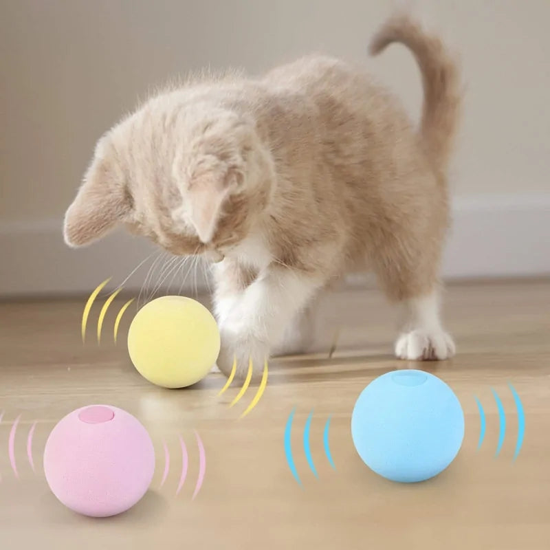 Interactive Ball Training Toy