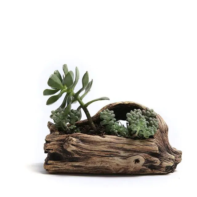 Outdoor & Indoor Garden Ornament