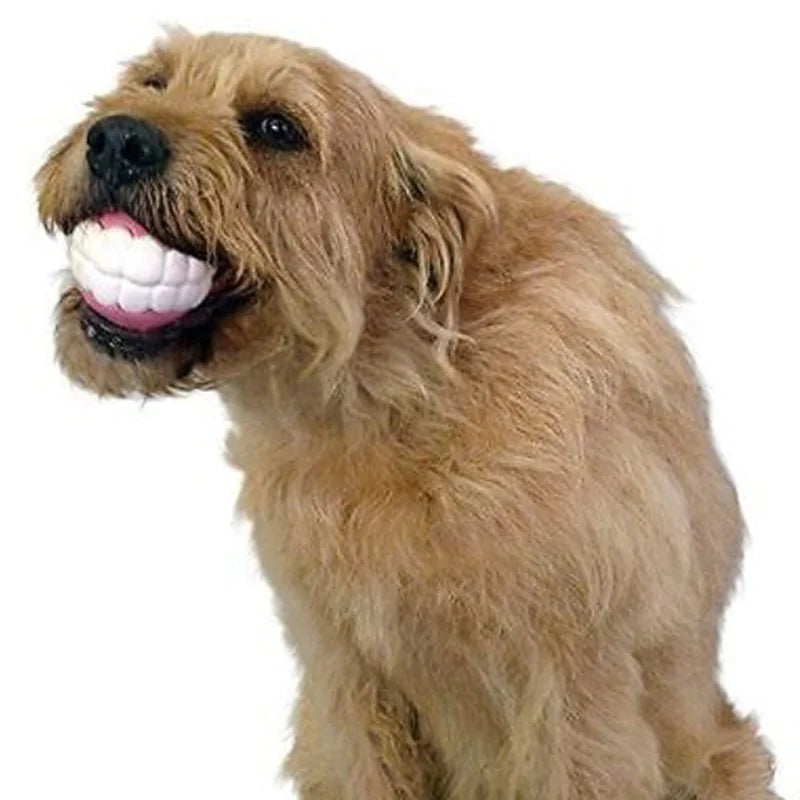 Pet Ball Teeth Silicon Chew Toy