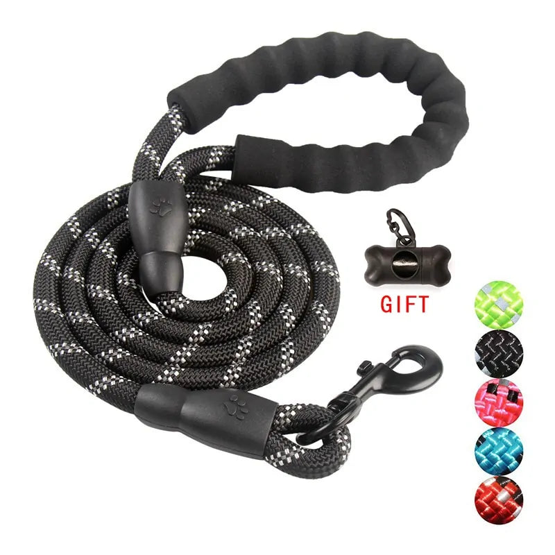 Pet Training Leash