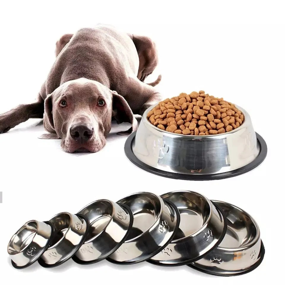 Stainless Steel Feeding Bowl