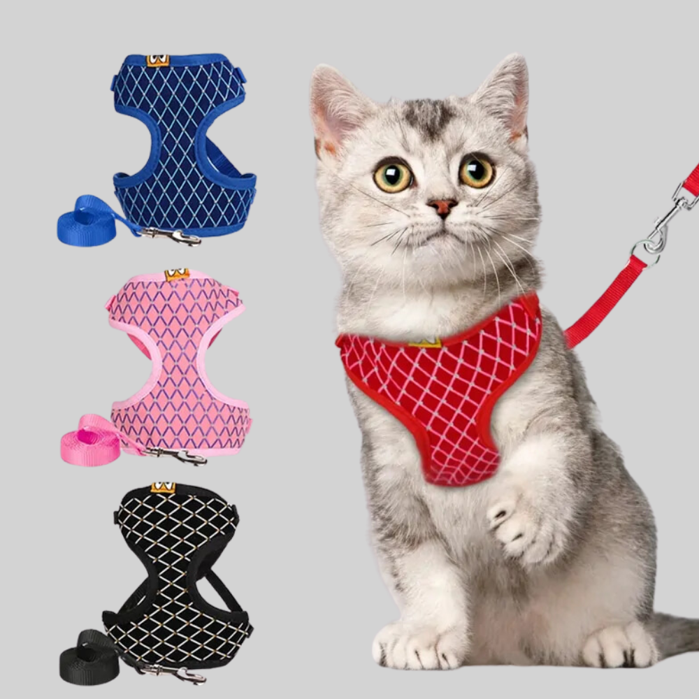 Rhinestone Pet Harness