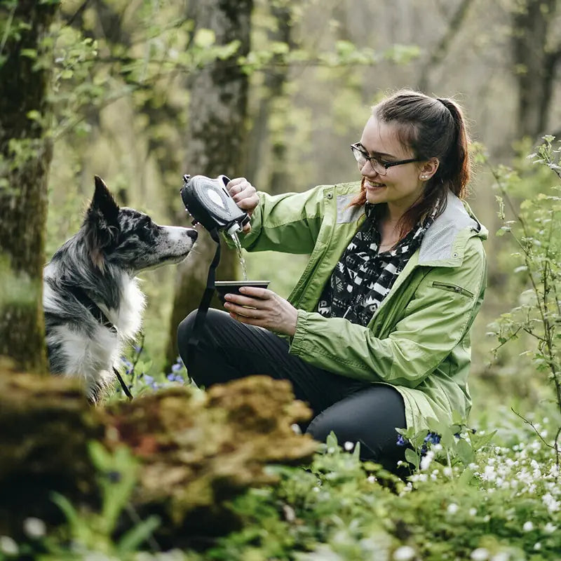 Versatile Pet Leash