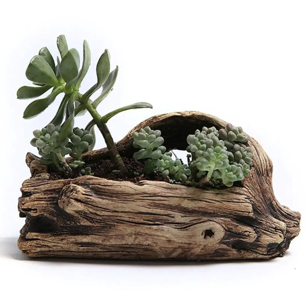 Outdoor & Indoor Garden Ornament