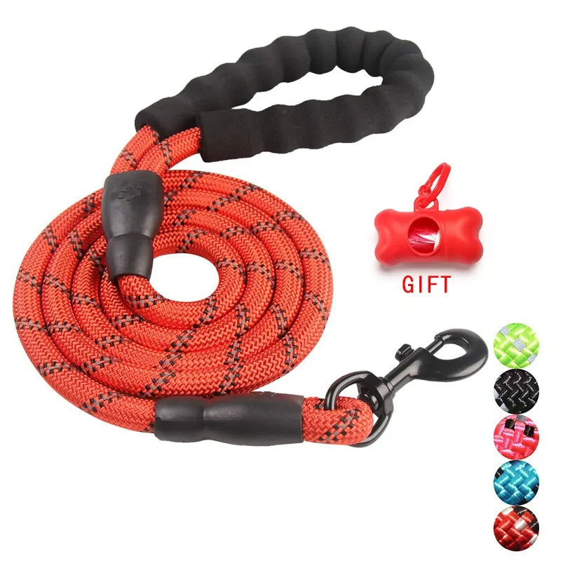 Pet Training Leash