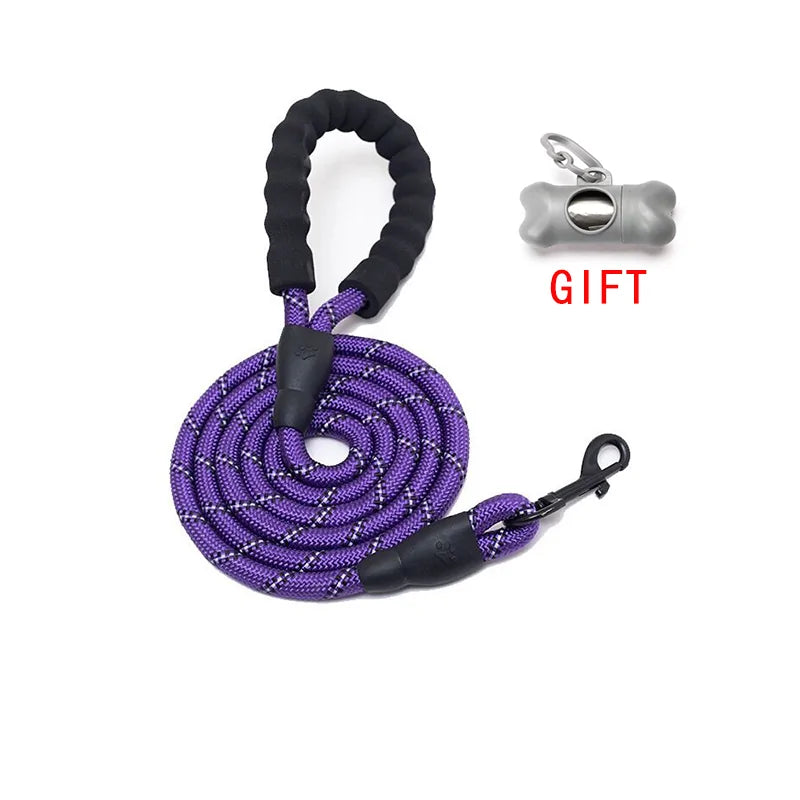 Pet Training Leash