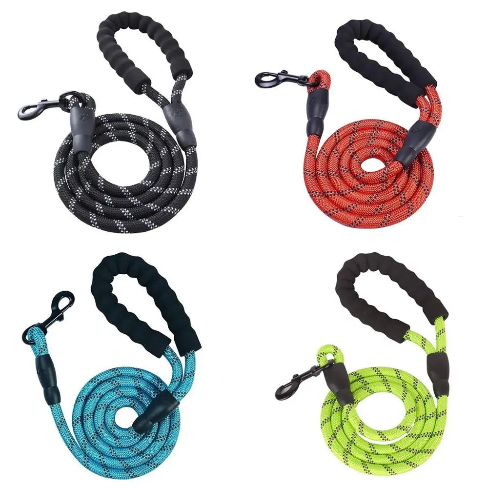 Pet Training Leash