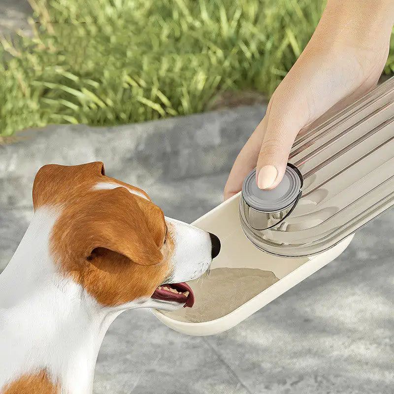 Pet Feeding Bottle